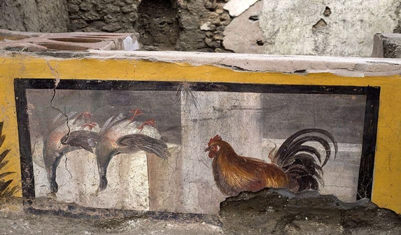 ख द ई क द र न म ल 2 हज र स ल प र न क ट न ड ब ब म थ क त त क म स स थ ह इन ख न क थ ड म ड Archaeologists Discovered 2 Thousand Old Canteen In Pompeii With