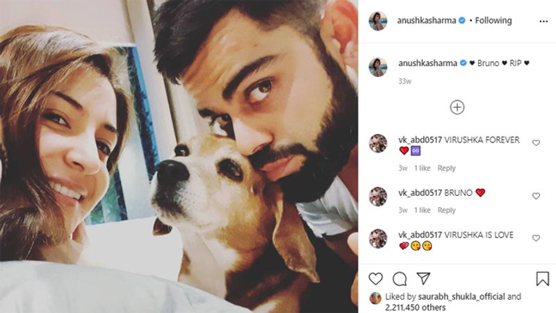 6 मई को अनुष्का ने अपने डॉगी ब्रूनो और विराट के साथ ये फोटो शेयर की और अपने कुत्ते को श्रद्धांजलि दी। लॉकडाउन के दौरान ही उनके पप्पी की मौत हो गई थी।
(फोटो सोर्स- इंस्टाग्राम)