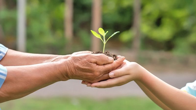 3. उत्तम पात्र को दिया गया दान
उत्तम व्यक्ति को दिया गया दान थोड़ा होने पर भी विस्तार पा लेता है यानी उसका सदुपयोग कुछ इस तरह होता है कि थोड़ा दान भी बहुत अधिक काम कर देता है।
