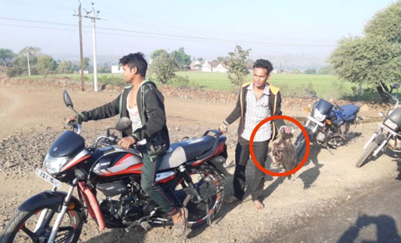 खबर लगते ही आसपास गांव के लोग बाइक से मुर्गियों पहुंचने लगे, तस्वीर में आप साफ देख सकते हैं।