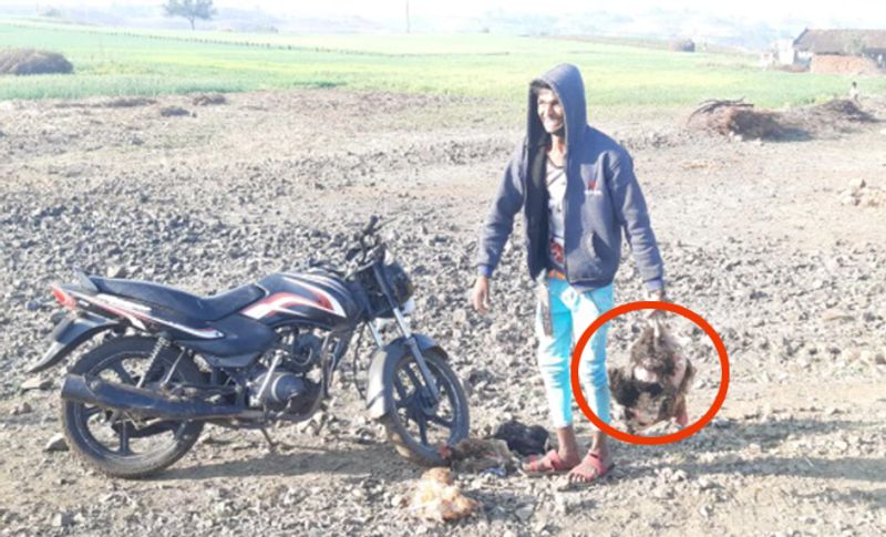 लोगों की भीड़ देख जब मैंने पुलिस को फोन लगाया तो किसी ने फोन नहीं उठाया और मौके पर पुलिस भी नहीं पहुंची। जिसकी वजह से और लोग मुर्गियां लेकर भाग खड़े हुए।