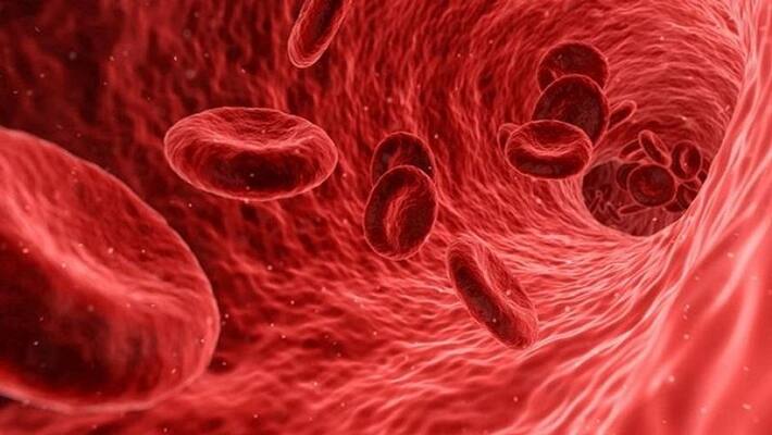 Study shed light on explanation for lack of blood oxygenation detected in many covid-19 patients MJA Study shed light on explanation for lack of blood oxygenation detected in many covid-19 patients MJA