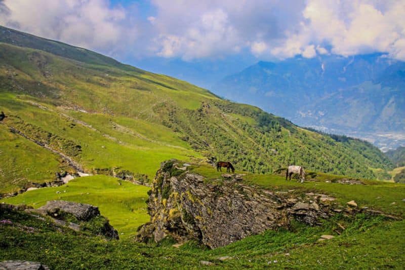 Himachals beauty to Kodaikanal's serenity: 5 places to get healed by nature in 2021 ANK