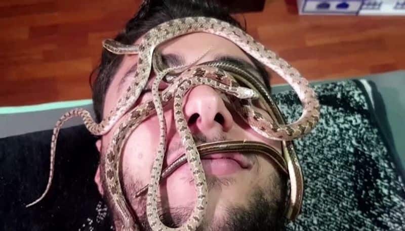 Egyptian spa offers snake massages, video leaves netizens terrified - bsb