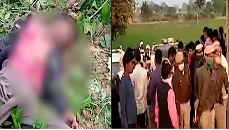 पुलिस का कहना है कि हत्या नाबालिग द्वारा ही की गई है। कान कटा होने और नाक और नाखून पर चोट पोस्टमॉर्टम रिपोर्ट के आधार पर किसी जानवर द्वारा बताया जा रहा है।