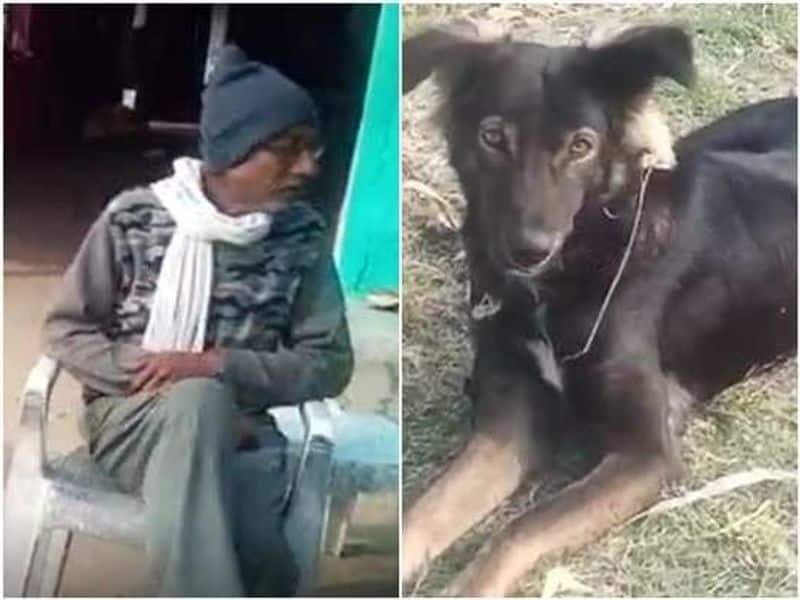 Farmer in Madhya Pradesh declares dog legal heir in will along with wife lns