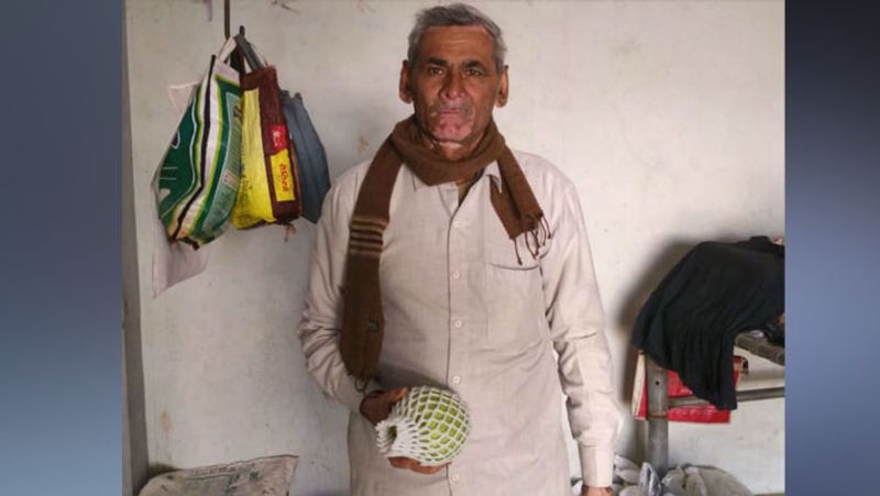 मगन पिछले डेढ़ साल से अमरूद पैदा कर रहे हैं। इसमें कम ऊंचाई के पौधे में ही बड़ा अमरूद पैदा होता है। इन अमरूदों की चमक और स्वाद लोगों को पसंद आता है।
