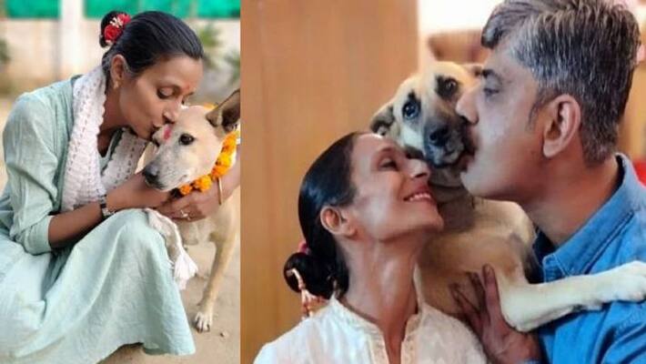 Dog Mother of Greater Noida Kaveri Rana Bhardwaj Dog Mother of Greater Noida Kaveri Rana Bhardwaj