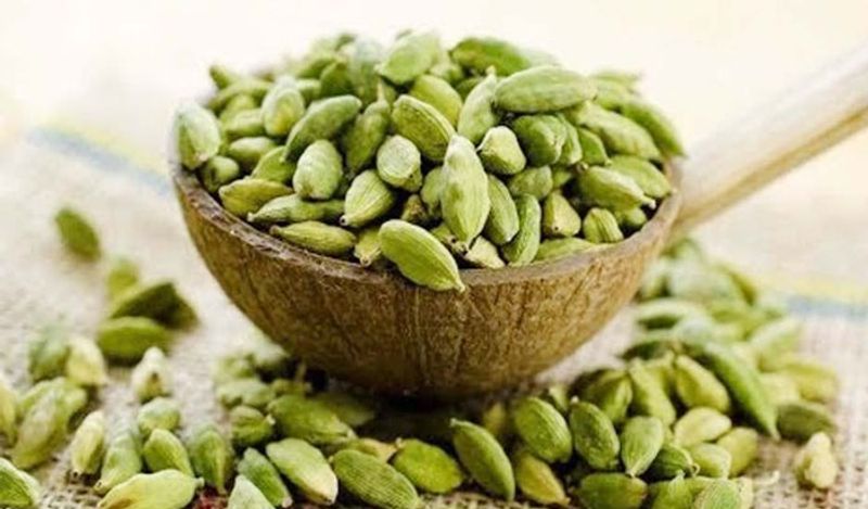 যাঁদের অ্যালার্জির সমস্যা রয়েছে তাঁদের এলাচ খাওয়া থেকে দূরে থাকা উচিত। এটি গ্রহণের ফলে শ্বাসকষ্টের মতো সমস্যাও হতে পারে। এছাড়া অনেকের এলাচের থেকেই অ্যালার্জির সমস্যা হতে পারে, তাই আগে জেনে নিয়ে তবেই এলাচ সেবন করুন।