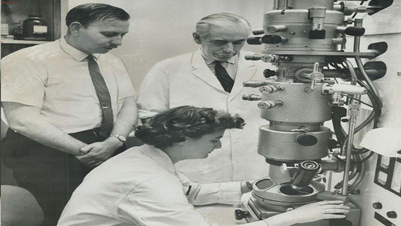 1954 में ही अलमेडा को ओंटारियो कैंसर इंस्टीट्यूट में इलेक्ट्रॉन माइक्रोस्कोपी तकनीशियन के रूप में काम पर रखा गया, जहां उन्होंने करीब 10 साल तक काम किया। साल 1963 में, वह 'साइंस' नामक पत्रिका में छपे एक लेख के तीन लेखकों में से एक थीं, जिसमें उन्होंने कैंसर के रोगियों के खून में वायरस जैसे कणों की पहचान की थी।