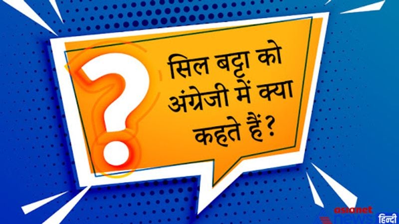 सवाल. सिलबट्टा को अंग्रेजी में क्या कहते हैं?
जवाब. सिलबट्टा को अंग्रेजी में grinding stone कहते हैं। ये सवाल एक शहरी लड़के से UPSC मॉक इंटरव्यू में पूछा गया। 