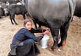 Gujarat 62-year-old sells milk worth Rs 1 crore, employs 15 people