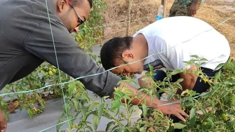 धौनी के फॉर्म हाउस को इजा फार्महाउस के नाम से जाना जाता है। 43 एकड़ में फैले इस फॉर्म हाउस में माही सब्जी और फलों की खेती करते हैं।