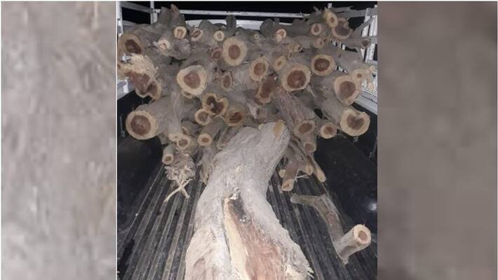 firewood seized in oman firewood seized in oman