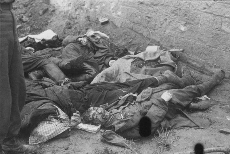 The state of prisoners' after being liberated from concentration camps
