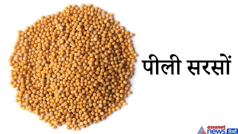 पीली सरसों
पीली सरसों, गुग्गल, लोबान, गौघृत को मिलाकर सूर्यास्त के समय उपले (कंडे) जलाकर उस पर ये सारी सामग्री डाल दें। नकारात्मकता दूर हो जाएगी।