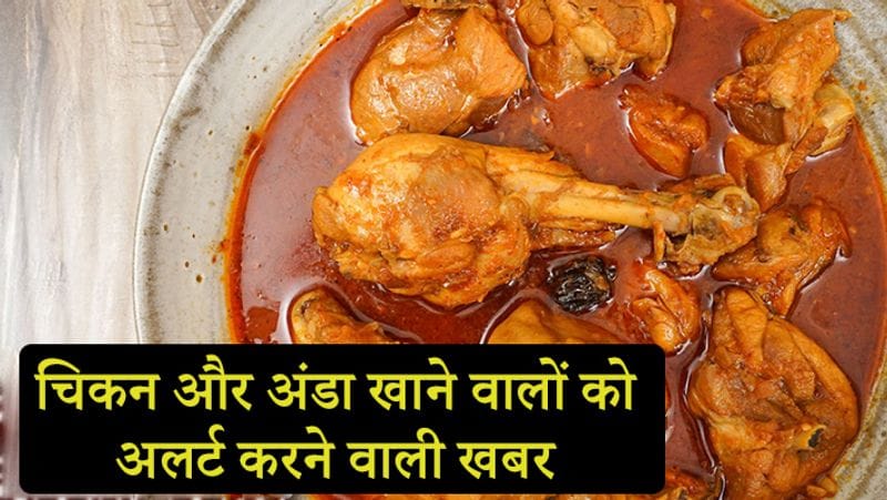 बर्ड फ्लू की खबर पर केंद्रीय मंत्री गिरिराज सिंह ने कहा था कि हमने अक्टूबर में ही सभी राज्यों को एडवाइजरी जारी कर दिया था। हमारा कंट्रोल रूम भी बना है। अभी इंसानों में बर्ड फ्लू फैलने की कोई रिपोर्ट नहीं है।