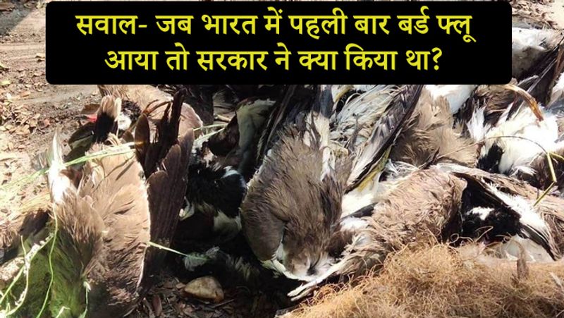 सवाल- जब भारत में पहली बार बर्ड फ्लू आया तो सरकार ने क्या किया था?
जवाब- वायरस का पता चलने के बाद 253,000 मुर्गियों और 587,000 अंडों को पांच दिनों के अंदर ही खत्म कर दिया गया। जांच के लिए 150 इंसानों के ब्लड लिए गए और उन्हें पुणे के नेशनल इंस्टीट्यूट ऑफ वायरोलॉजी भेजा गया। सावधानी रखने के ट्रेनों को नवापुर में रोकने से मना कर दिया गया। महाराष्ट्र की सीमा से लगे राज्यों की सरकारों ने मुर्गी पालन के आयात पर रोक लगा दी। कुछ अन्य राज्य सरकारों जैसे कि तमिलनाडु और जम्मू-कश्मीर ने भी आयात पर रोक लग गई। भारत सरकार ने सिप्ला जैसी दवा कंपनियों को फ्लू को खत्म करने के लिए दवा बनाने के लिए कहा। सरकार ने टैमीफ्लू का स्टॉक करना भी शुरू कर दिया। 