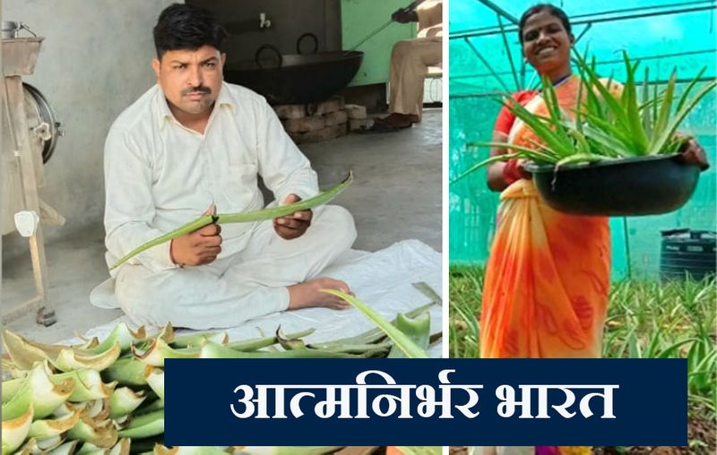 पहली तस्वीर राजस्थान के हनुमानगढ़ के रहने वाले अजय स्वामी की है। ये 12 साल से एलोवेरा की खेती कर रहे हैं। ये एलोवेरा की मिठाई, शैम्पू, कंडिशनर, जूस, साबुन, टूथपेस्ट जैसी करीब 45 चीजें बनाकर बनाकर मार्केट में बेचते हैं। इनके प्रोडक्ट का नाम है नैचुरल हेल्थ केयर। ये 20 स अधिक कंपनियों को अपने प्रोडक्ट्स बेचते हैं। चाय के स्टॉल से शुरू की थी जिंदगी...
