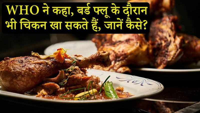 बर्ड फ्लू के कारण पोल्ट्री में मुर्गियों की मौत हो रही है। ऐसे में सवाल उठता है कि क्या इस समय चिकन और अंडा खाना सुरक्षित होगा? डब्ल्यूएचओ ने खुद इसका जवाब दिया है।
