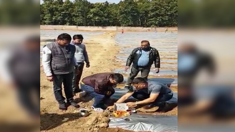 सब्जी और पोल्ट्री फार्म ही नहीं माही के खेत में गाय का दूध भी निकाला जाता है। धोनी ने भारतीय नस्ल की साहीवाल और फ्रांस के नस्ल की फ्रीजियन गाय को पंजाब से मंगवाया है। गौशाला में फिलहाल 70 गाय हैं। जिनसे लगभग 300 लीटर दूध रोज निकाला जा रहा है। बाजार में इसकी कीमत 55 रुपए प्रति किलो है।
(फोटो सोर्स- इंस्टाग्राम)