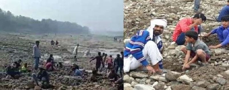 नदी के किनारे घाट पर खोदाई होता देखकर धीरे-धीरे बड़ी संख्या में लोग जम गए। इनमें बड़े, बच्चे और महिलाएं सभी अलग-अलग जगह वह नदी के किनारे घाट पर खुदाई करते हुए नजर आए। 