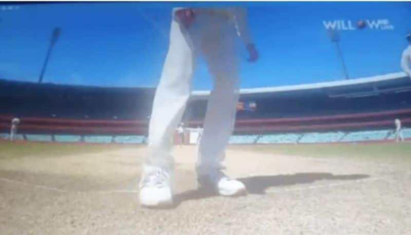 australia captain tim paine says that steve smith innocent in rishabh pant batting guard issue