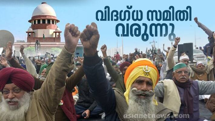 supreme court intervenes in farm laws implementation expert committee for further study supreme court intervenes in farm laws implementation expert committee for further study