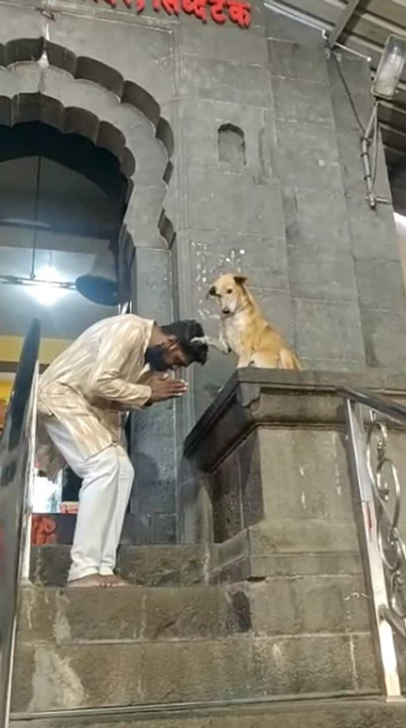 Dog blesses devotees and shakes hands outside temple in adorable viral video. Watch