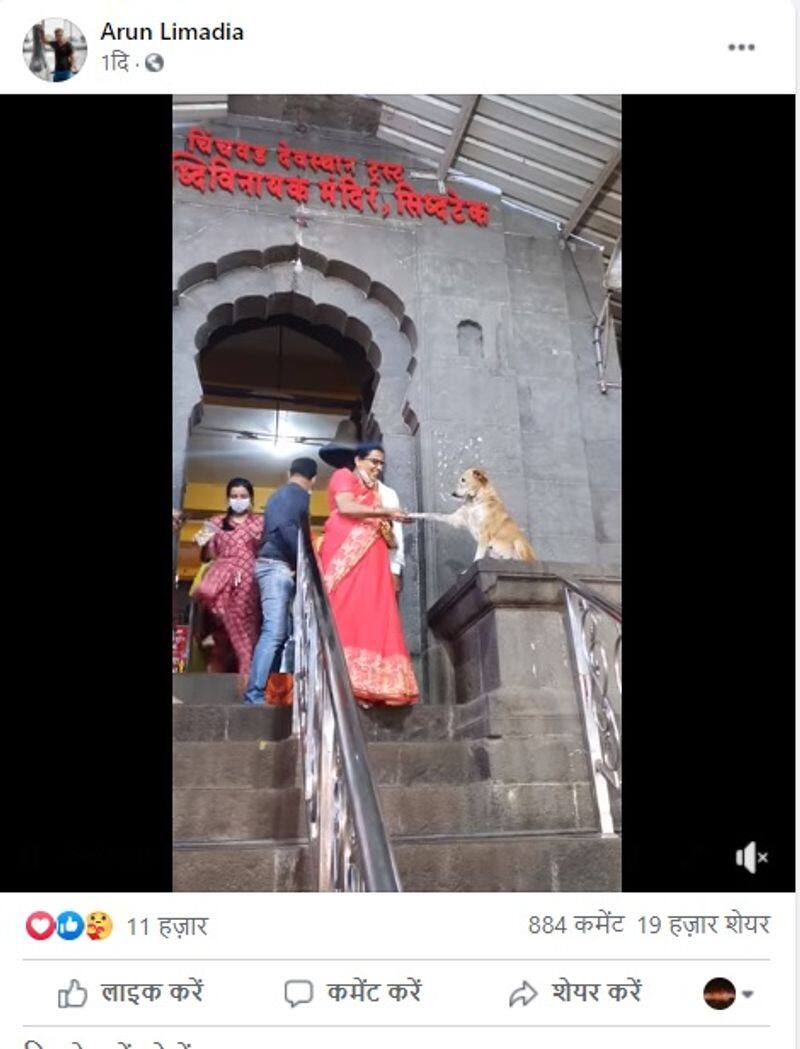 Dog blesses devotees and shakes hands outside temple in adorable viral video. Watch