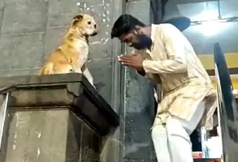 मीडिया रिपोर्ट्स के मुताबिक यह वीडियो सिद्धटेक के सिद्धिविनायक मंदिर का बताया जा रहा है, जिसे लोग खूब पसंद कर रहे हैं।
