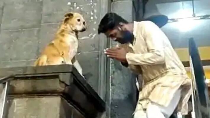 Dog blesses devotees and shakes hands outside temple in adorable viral video. Watch Dog blesses devotees and shakes hands outside temple in adorable viral video. Watch
