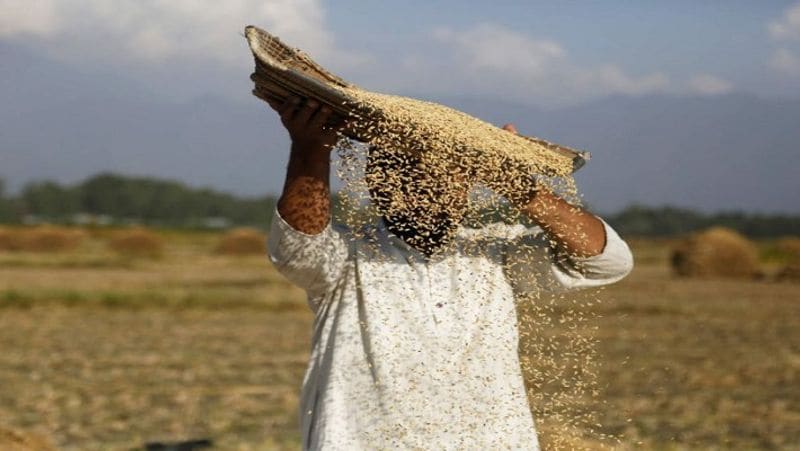 11 जनवरी, 2021 तक के उपलब्ध आंकड़ों के मुताबिक इस योजना से करीब 2112941 किसान जुड़ चुके हैं। जिन राज्यों में सबसे ज्यादा किसानों ने इस योजना में रजिस्ट्रेशन कराए हैं, उनमें 424446 रजिस्ट्रेशन के साथ हरियाणा नंबर 1 पर है। बिहार में 310864, उत्तर प्रदेश में 250939, झारखंड में 249372 और छत्तीसगढ़ में 2.3975 रजिस्ट्रेशन हुए हैं। (फाइल फोटो)