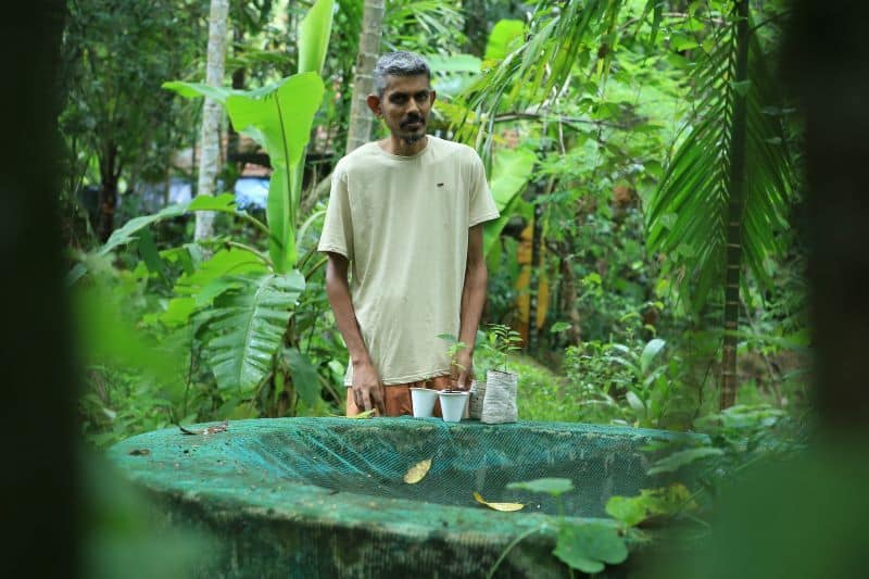Manoj Kumar from Edavanakkad grew a fruit forest