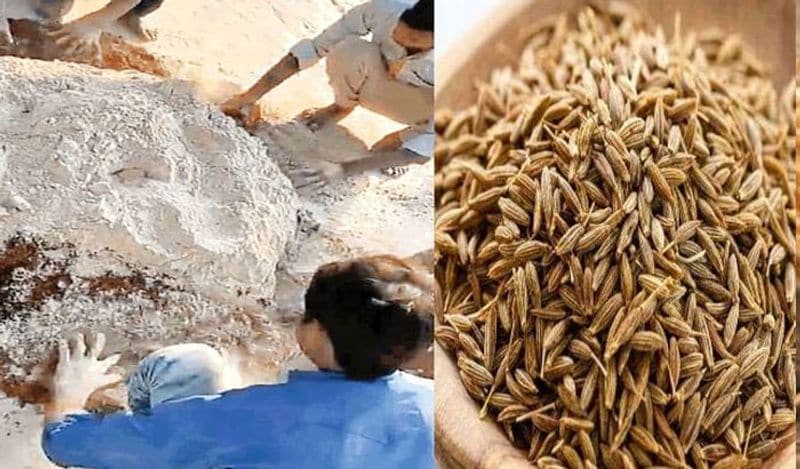2. కడుపులో వికారం ఉన్నా, వాంతులు ఉన్నా గోధుమ గడ్డి జ్యూస్ను తాగవచ్చు.