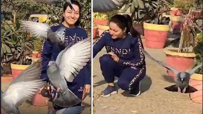 honeypreet video viral between Danger zone Bird flu from dera sacha sauda sirsa ram rahim kpr honeypreet video viral between Danger zone Bird flu from dera sacha sauda sirsa ram rahim kpr