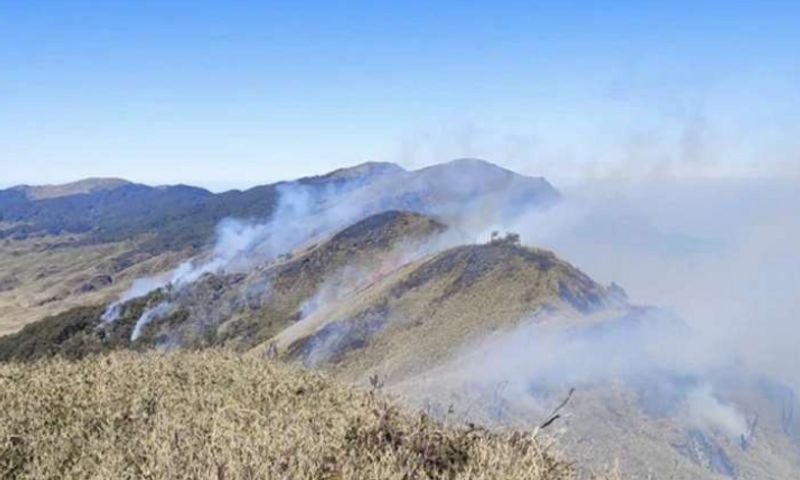 two week old wildfire extinguished Nagaland-Manipur border