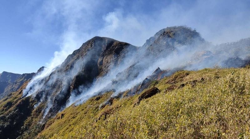 two week old wildfire extinguished Nagaland-Manipur border