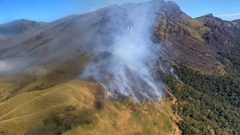 two week old wildfire extinguished Nagaland-Manipur border