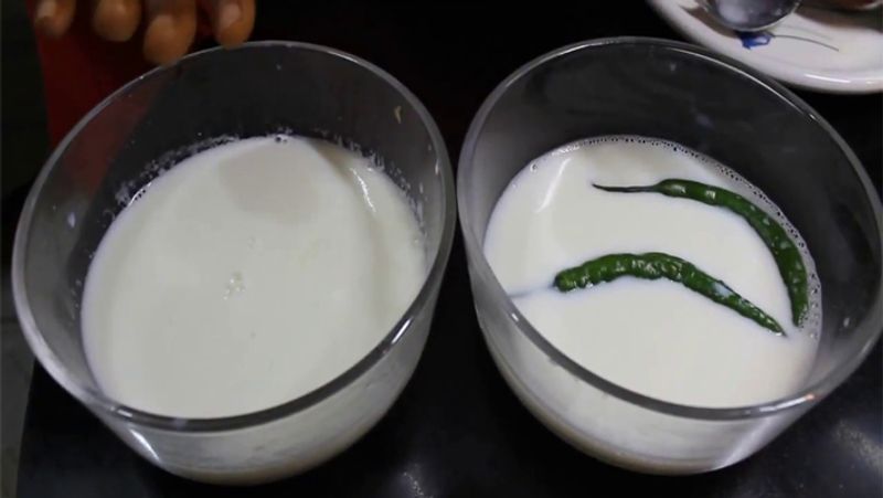 <p>এই উপায়ে ঘরে টক দই পাততে প্রয়োজন শুধুমাত্র একটি কাঁচালঙ্কা ও দুধ। </p>