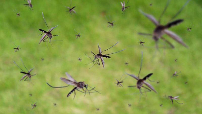 chennai corporation  used Drones for Larvicide sprays to disinfect the stagnant water from disease causing mosquitoes
