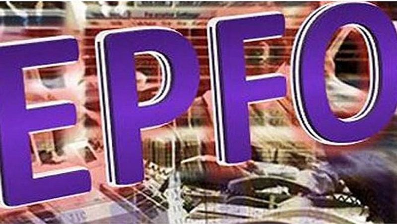 उमंग ऐप को अलावा आप ईपीएफओ (EPFO) की ऑफिशियल बेवसाइट से भी अपने पीएफ अकाउंट का बैलेंस चेक कर सकते हैं। इसके लिए आपको कुछ प्रॉसेस की जानकारी होनी चाहिए। (फाइल फोटो)