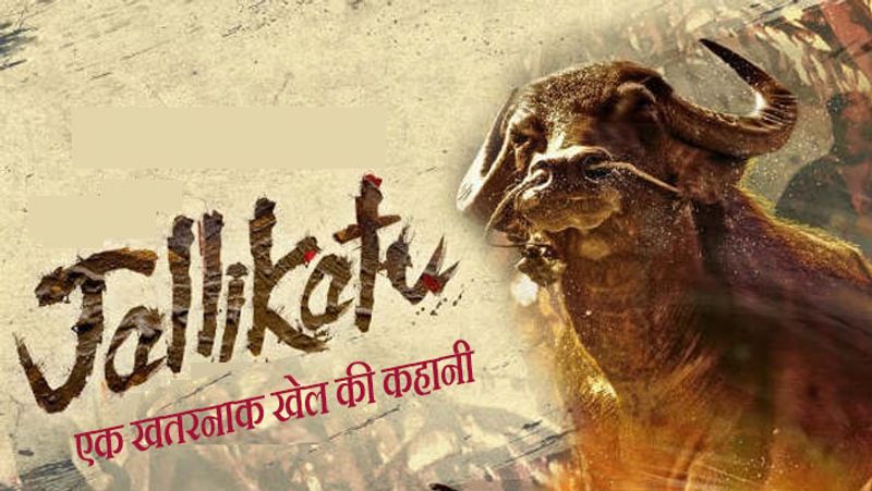 Oscars 2021: India's official entry 'Jallikattu' out of the race, 'Bittu' makes it to top 10-SYT