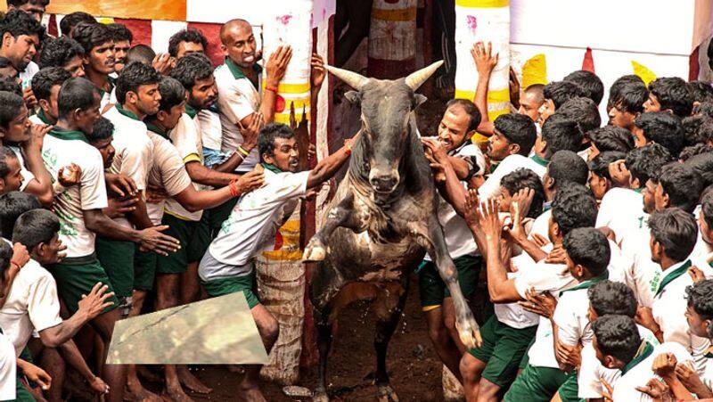RB Udayakumar has said that there is a fear that the Jallikattu competition will be banned by the Supreme Court