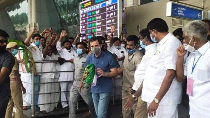 Rahul Gandhi attends Jallikattu in Madurai, says duty to stand and protect Tamil culture lns