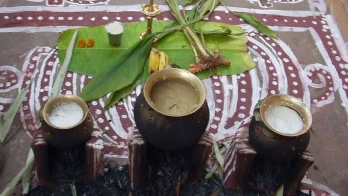 Minister Gandhi announced the Pongal prize ..! Minister Gandhi announced the Pongal prize ..!