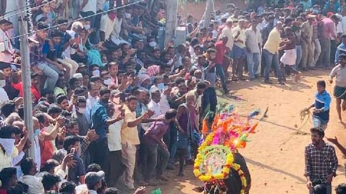 Police filed case against Jallikattu organisers in tirupati district ksm Police filed case against Jallikattu organisers in tirupati district ksm