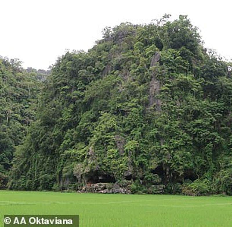 Oldest Cave Painting Found in Indonesia Was Made 45500 Years Ago