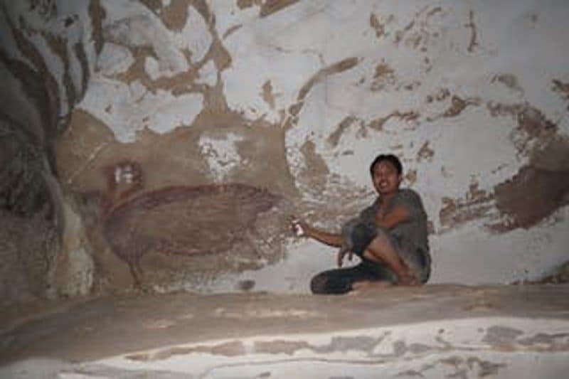 Oldest Cave Painting Found in Indonesia Was Made 45500 Years Ago