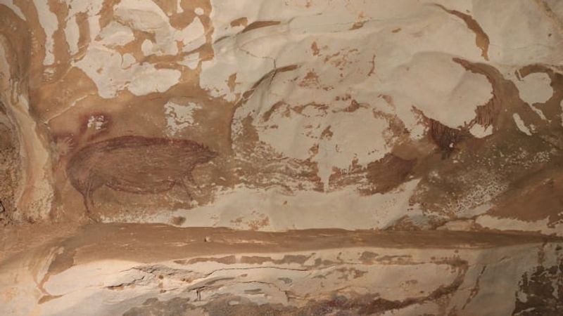 Oldest Cave Painting Found in Indonesia Was Made 45500 Years Ago